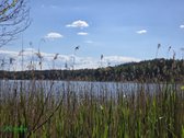 12 Ha Sklypas Su 200 Metrų Švento Ežero - nuotraukos Nr. 3