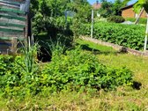 Sumažinome Kainą ! (buvo 29500eur.) - nuotraukos Nr. 8