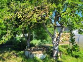 Gal ieškote sklypo namo statybai šalia Gargždų? - nuotraukos Nr. 7