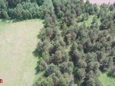 Parduodamas 3 ha rekreacinės paskirties - nuotraukos Nr. 7