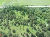 Parduodamas 3 ha rekreacinės paskirties - nuotraukos Nr. 9