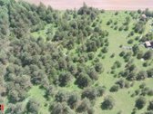 Parduodamas 3 ha rekreacinės paskirties - nuotraukos Nr. 10