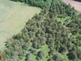 Parduodamas 3 ha rekreacinės paskirties - nuotraukos Nr. 11