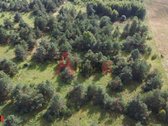 Parduodamas 3 ha rekreacinės paskirties - nuotraukos Nr. 13