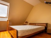 Vanagupės Raj., Miške, Tarp Gražuolių Pušų, - nuotraukos Nr. 37