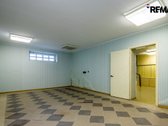 Vanagupės Raj., Miške, Tarp Gražuolių Pušų, - nuotraukos Nr. 45