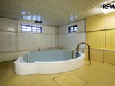 Vanagupės Raj., Miške, Tarp Gražuolių Pušų, - nuotraukos Nr. 46