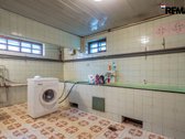 Vanagupės Raj., Miške, Tarp Gražuolių Pušų, - nuotraukos Nr. 49
