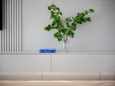 Antakalnyje, privačiame, kruopščiai - nuotraukos Nr. 11