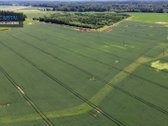 Jonavos raj. Upninkų sen. Gudonių k. - nuotraukos Nr. 4