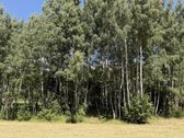 Parduodamas jaukus žemės ūkio paskirties - nuotraukos Nr. 24