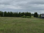 Ramioje vietoje, parduodami du namų valdos - nuotraukos Nr. 4