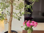 Premium Apartment In The Heart Of Vilnius Old - nuotraukos Nr. 3