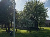 Parduodamas Žemės Sklypas Su Sodyba Šakių Rajone - nuotraukos Nr. 4