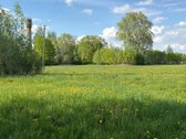 Parduodamas Žemės Sklypas Su Sodyba Šakių Rajone - nuotraukos Nr. 7