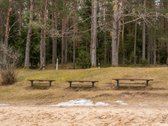 Išskirtinė Ramybė Šalia Miško – Jūsų Namams! - nuotraukos Nr. 11