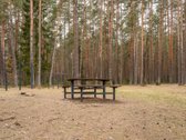 Išskirtinė Ramybė Šalia Miško – Jūsų Namams! - nuotraukos Nr. 14