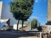 Pačiame miesto centre, po kapitalinio remonto