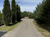 Parduodamas sklypas ieškantiems ramybės ir - nuotraukos Nr. 3