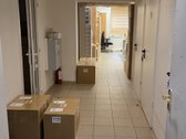 Lanksčios Nuomos Sąlygos: - nuotraukos Nr. 6