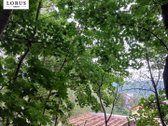 Parduodamas išskirtinis sodo sklypas Valų