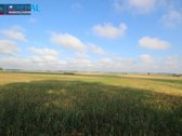 Parduodamas žemės ūkio paskirties sklypas 22