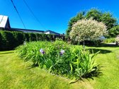 Renovuotas namas su 15,60 arų sklypu Neravuose - nuotraukos Nr. 32