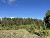 Parduodamas Išskirtinis Sklypas Trakų Raj. - nuotraukos Nr. 11