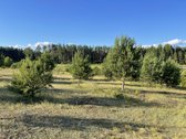 Parduodamas Išskirtinis Sklypas Trakų Raj. - nuotraukos Nr. 13
