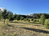 Parduodamas Išskirtinis Sklypas Trakų Raj. - nuotraukos Nr. 15