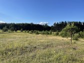 Parduodamas Išskirtinis Sklypas Trakų Raj. - nuotraukos Nr. 17