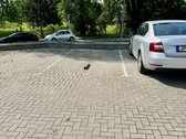Parduodama Rezervuota Automobilio Parkavimo - nuotraukos Nr. 2