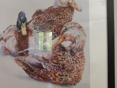 Šviesus ir erdvus butas, kuriame įrengtos - nuotraukos Nr. 5