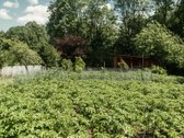 Parduodami kartu du greta esantys sklypai - nuotraukos Nr. 16