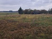 Parduodama Sodyba Lazdijų Rajone, Kudrėnėlių - nuotraukos Nr. 3