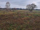 Parduodama Sodyba Lazdijų Rajone, Kudrėnėlių - nuotraukos Nr. 4