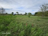 Parduodami namų valdos žemės sklypai, - nuotraukos Nr. 21