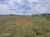 Parduodami namų valdos žemės sklypai, - nuotraukos Nr. 17