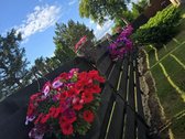 Parduodamas gyvenamasis namas Mažeikių rajone - nuotraukos Nr. 5