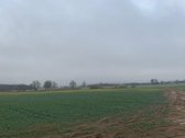 Parduodamas 4,83 ha žemės ūkio paskirties - nuotraukos Nr. 4