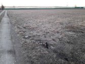 Parduodamas sklypas prie Marijampolės, - nuotraukos Nr. 5