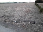 Parduodamas sklypas prie Marijampolės, - nuotraukos Nr. 6