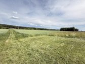 Parduodama sodyba ramioje ir vaizdingoje - nuotraukos Nr. 5