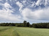 Parduodama sodyba ramioje ir vaizdingoje - nuotraukos Nr. 23