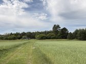 Parduodama sodyba ramioje ir vaizdingoje - nuotraukos Nr. 24