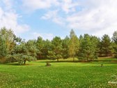 Parduodamas sėkmingai veikiantis kaimo - nuotraukos Nr. 42