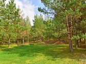 Parduodamas sėkmingai veikiantis kaimo - nuotraukos Nr. 43