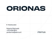 Butas Nr. 6 – erdvi lodžija, vakarinė saulė - nuotraukos Nr. 19