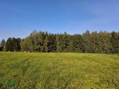 Nuostabioje vietoje ant Kupiškio marių kranto - nuotraukos Nr. 3