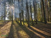 Nuostabioje vietoje ant Kupiškio marių kranto - nuotraukos Nr. 2